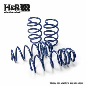 Audi RS6 C7 H&R Lowering Spring Set